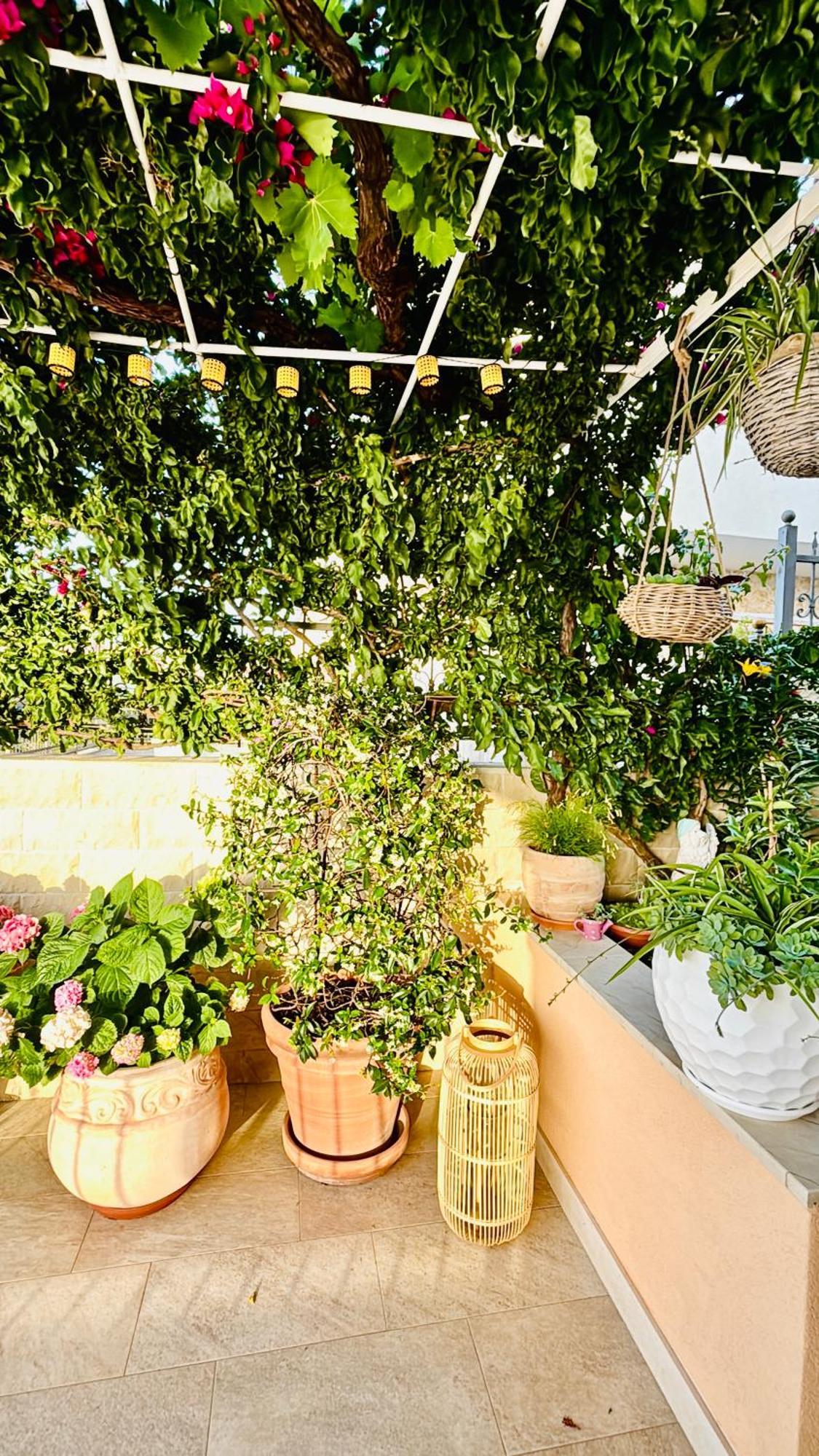 Sunny Elza 2 Apartment